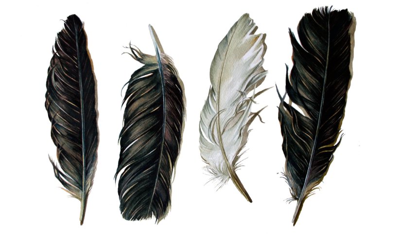 The Black Witch (The Black Witch Chronicles, #1) Book&nbsp;Review